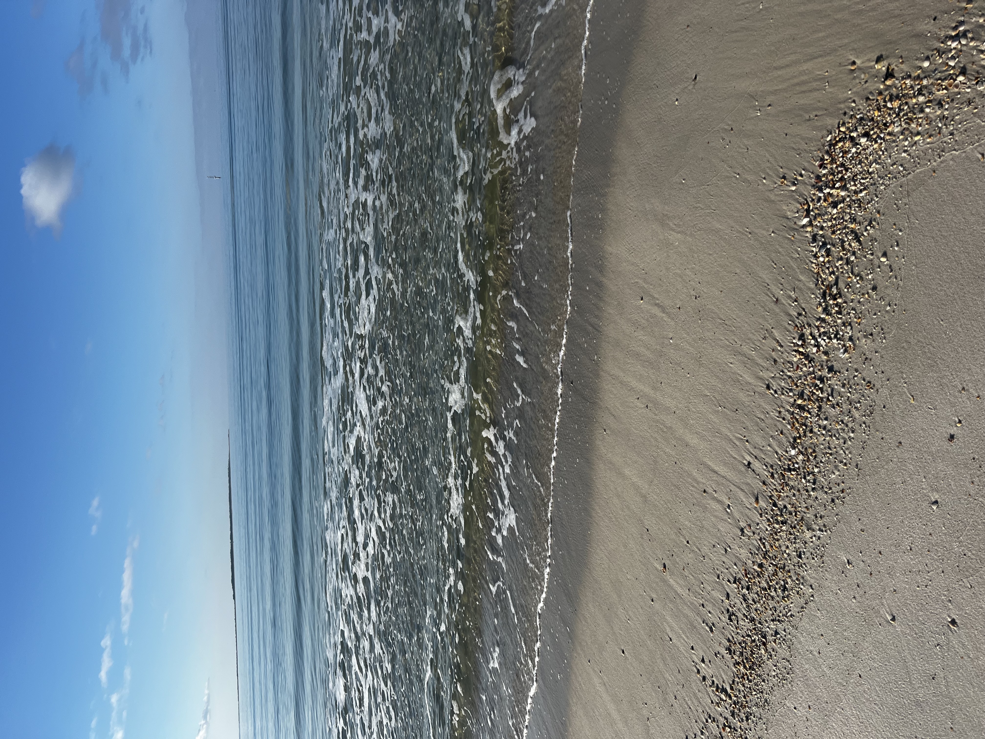 St. Joe Beach waves and shells